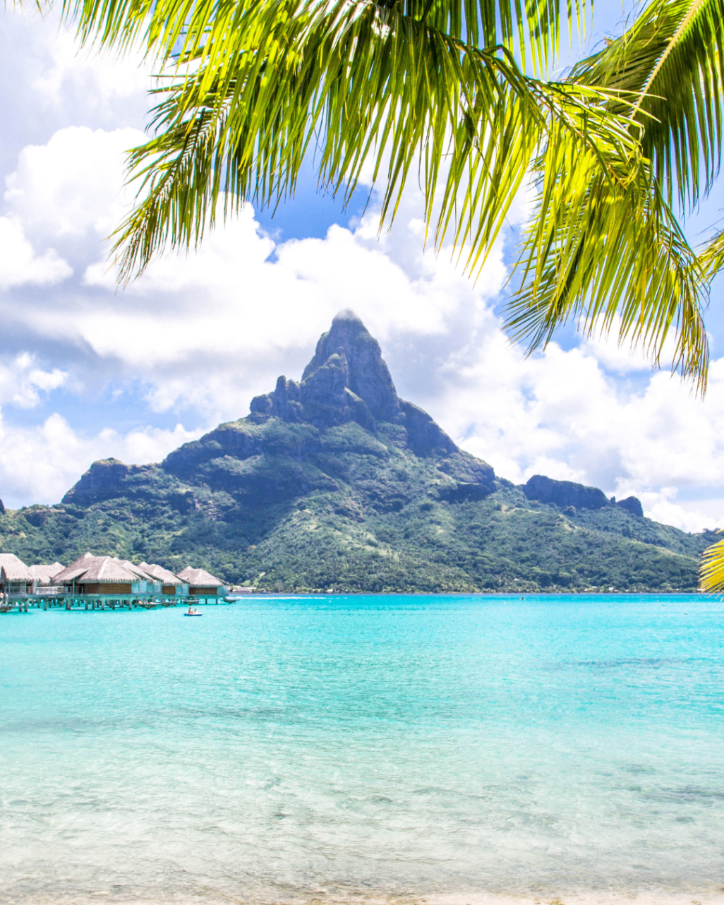 Plage paradisiaque, eau turquoise et palmiers